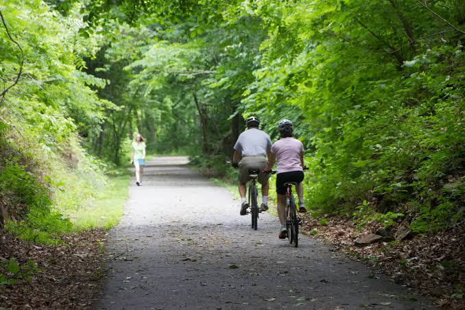 Blackwater Creek Trail