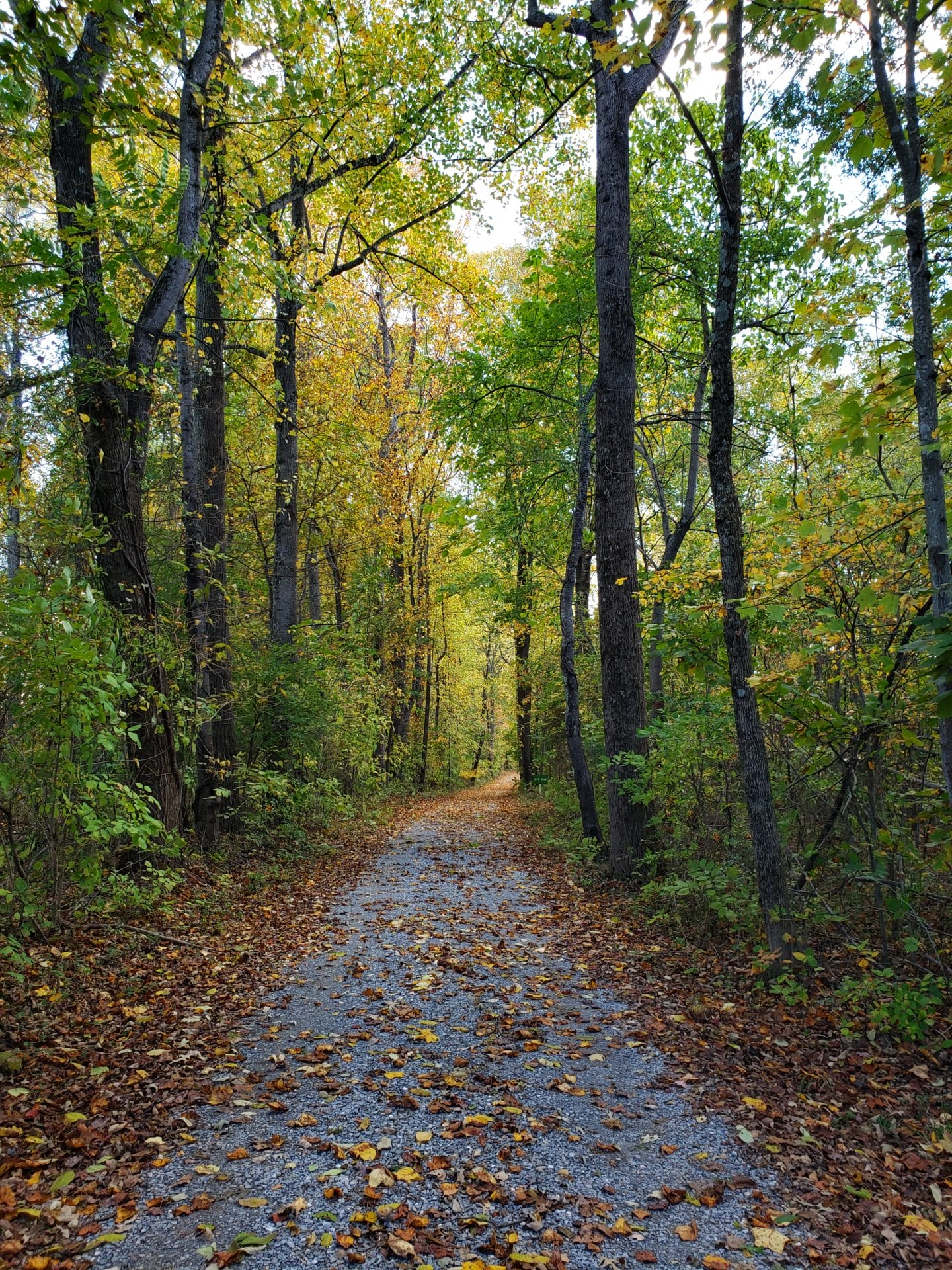 Walking Trails and Pathways
