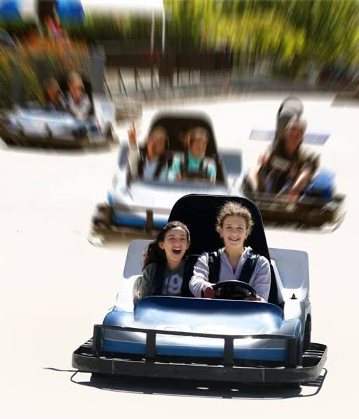 Amusement Parks Go-karts